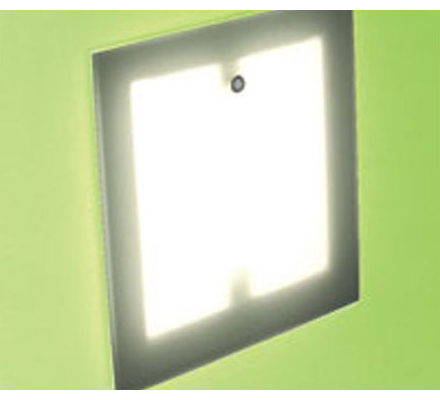 LED Path Light